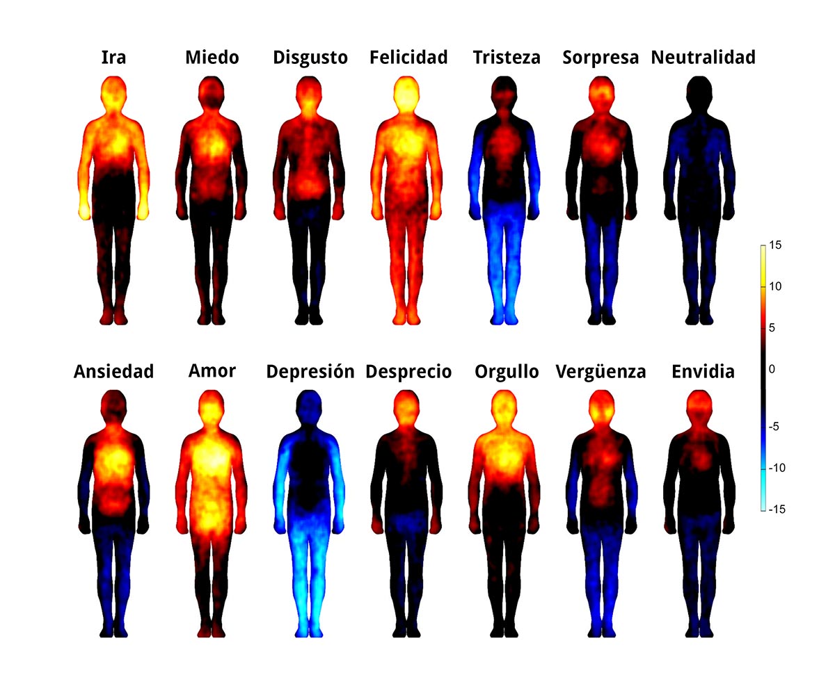 Efectos de las emociones en el cuerpo humano